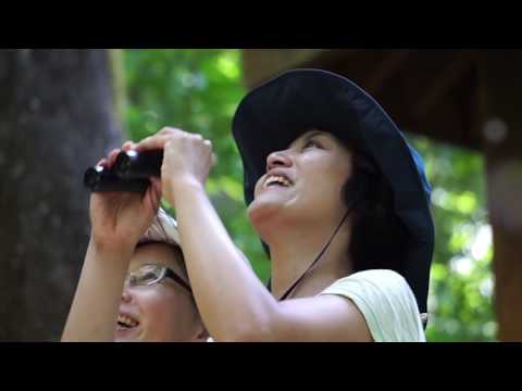 「知本國家森林遊樂區─返璞歸真」輕快版音樂片(中文)