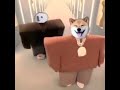 Kanye West & Lil Pump ft. Adele Givens - "I Love It" (Official DOG Parody Video) Kanye West & Lil Pump ft. Adele Givens - "I Love It" (Official DOG Parody Video)