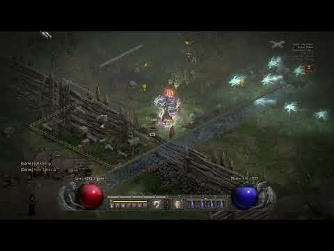 D2R Pvp ~ VT paladin(smite) vs NEC (bone)