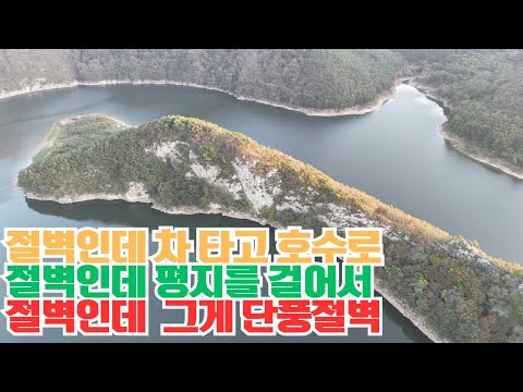 단풍, 가을 보기 어렵...