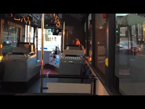 Transit Systems Sydney m/o 7087 - Scania K310UB (ZF Ecolife)