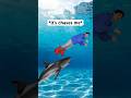 When You Think A Shark Is In The Pool #shorts #relatable