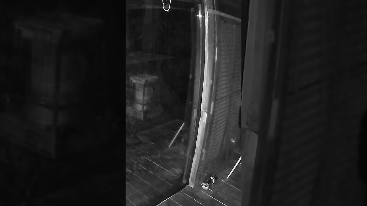 窓からオーブが生えている #怪現象 #orb #オーブ #心霊 #心霊スポット #心霊現象