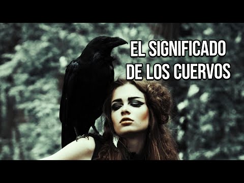 EL ORÁCULO - ANIMAL ESPIRITUAL DEL CUERVO,  el significado de los sueños.