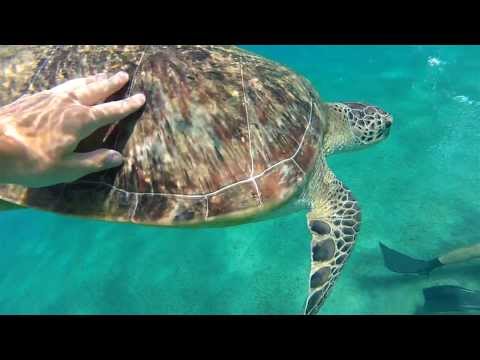 Glassesboys feat. Stephen Pickup - Your Love