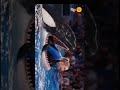 Jessica Radcliffe Orca Attack Jessica Dolphin Attack