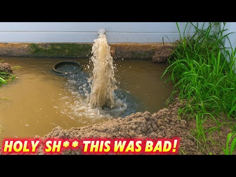 PLUMBER LEFT HIS BACK YARD FLOODED WITH SEWERAGE, so he called me.