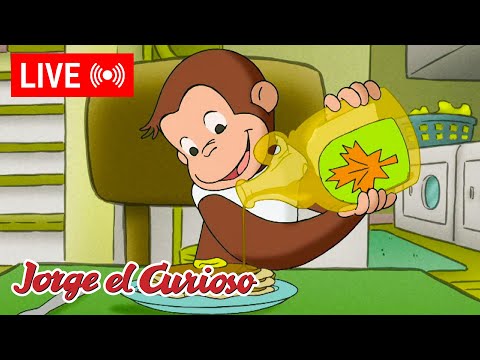LIVE 🔴 Episodios de Jorge El Curioso 🐵 ¿Un árbol de jarabe de maple? 🍁🥞  + Más!