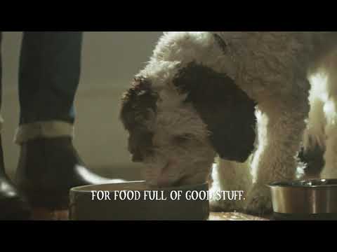 Butcher's Food For Dogs 2021 TV Advert - Natural Ingredients