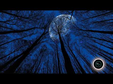 With Some Malice By Francesco D'andrea