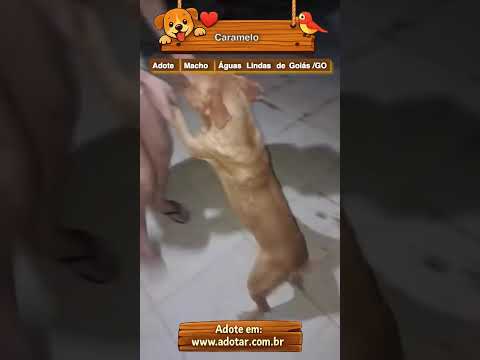 Vídeo de Caramelo