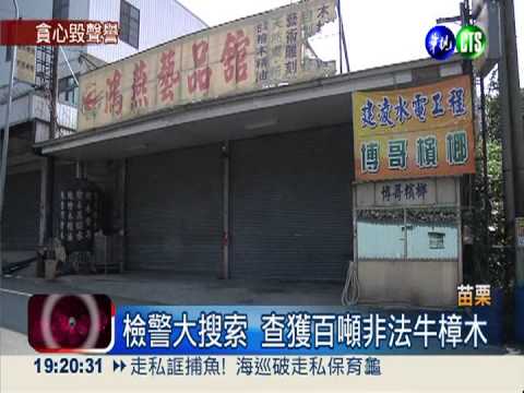 名木雕師賣發票 為盜伐牛樟漂白