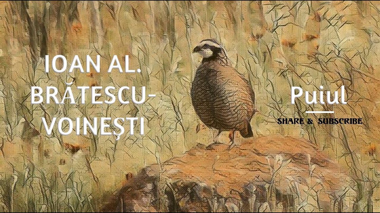 Ioan Al. #Br?tescu-Voine?ti - Puiul (cu #imagini)