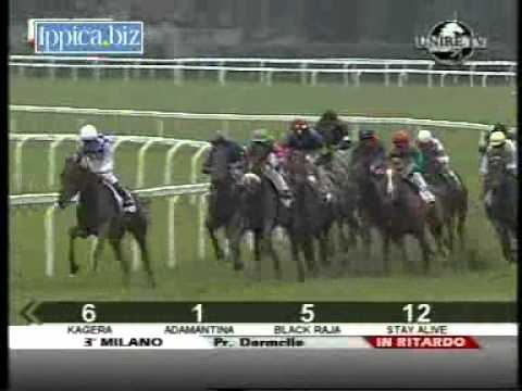 Premio Dormello 2010 (GR 3)