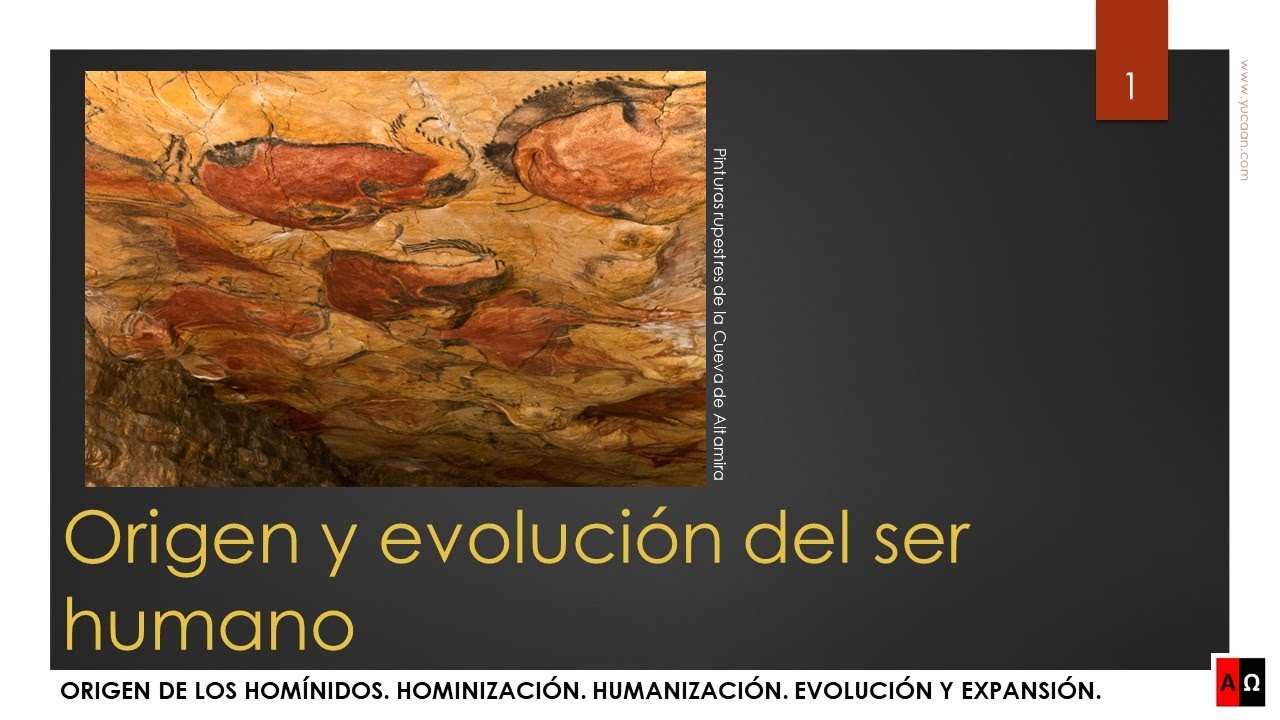 Origen y evolución del ser humano