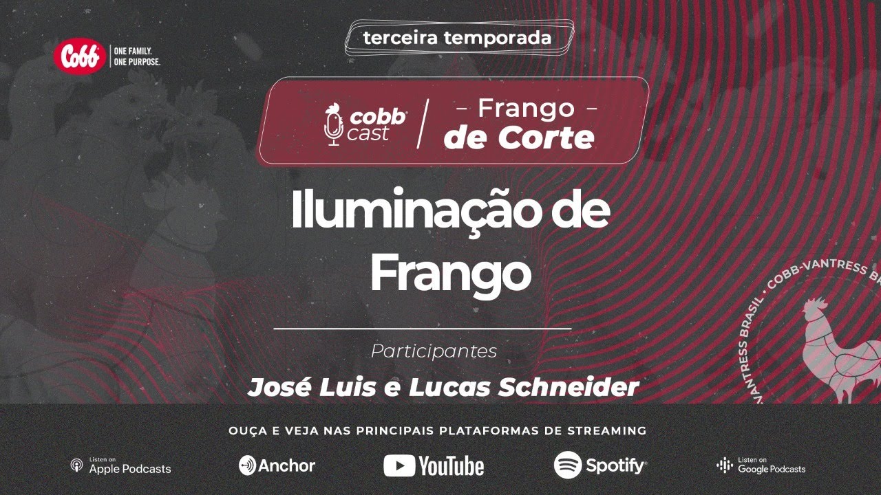 #05 Iluminação de frango