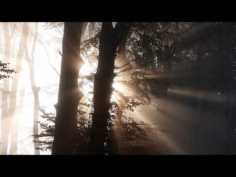 Caoine Cill Cháis ( Lament for Kilcash )