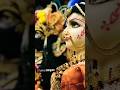 Tum Chand Se Pyare Ho Love Radhe Radhe ️ Krishna Short