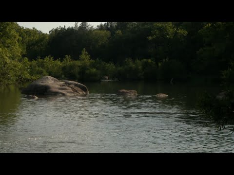 “Please stop trashing my river:” Fishermen, staff upset with trash pileup at Blue River Park