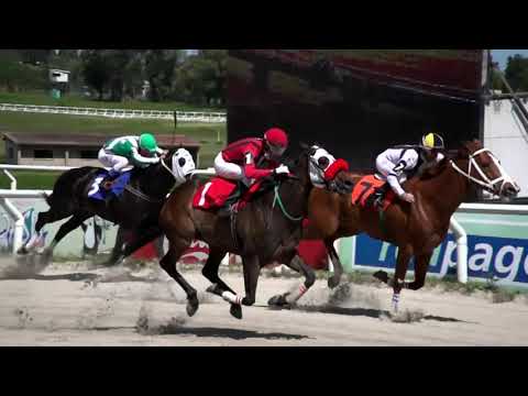 211015 c02 - TAN AFORTUNADO - HIPODROMO LAS PIEDRAS