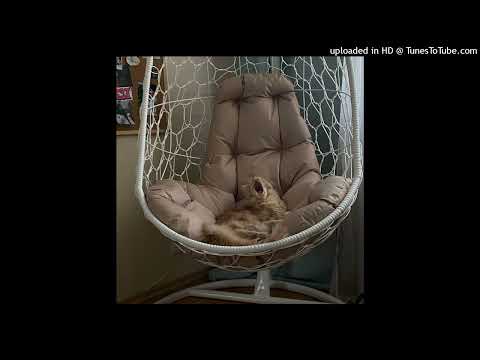 XANDIE - WARYKID x DEKMA x DESXLATE TYPE BEAT