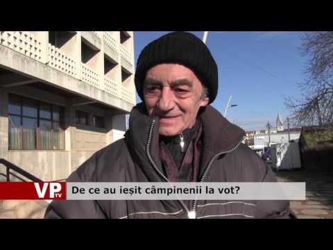 De ce au ieșit câmpinenii la vot?
