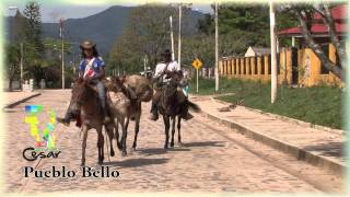 preview picture of video 'Municipio de Pueblo Bello - Cesar - Colombia'