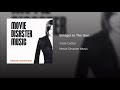 Bridget In The Sun / MOVIE DISASTER MUSIC · Josie Cotton