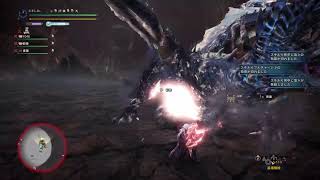[MHW:IB/PS版]救難or参加型アルバ アイスボーン
