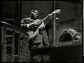 Howlin' Wolf -  Shake For Me  - live