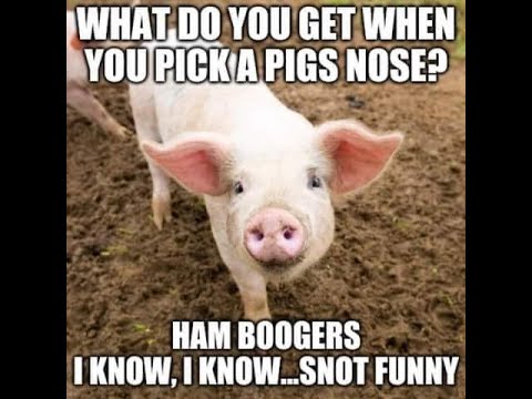 Elizabethtown Kentucky / Hardin Co. 01 - 11 - 2021