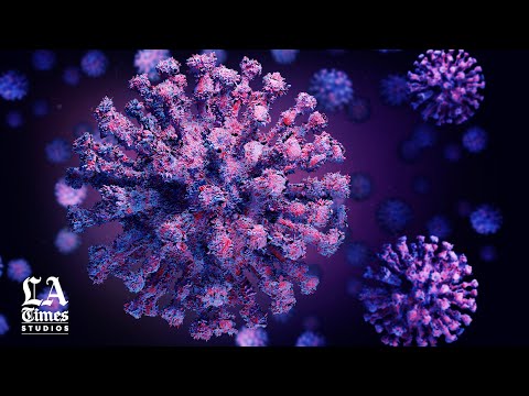 Introduction to the Science Behind the Coronavirus, Series III Mutations