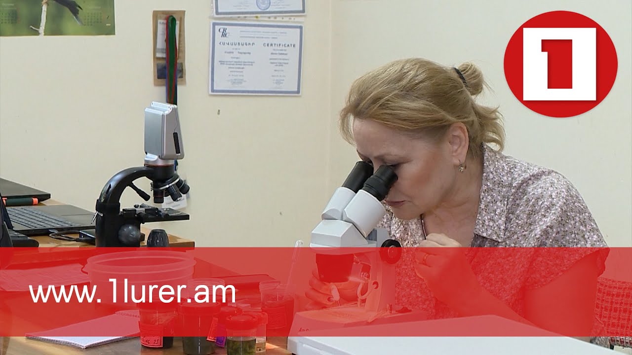 Պետական դրամաշնորհ գիտական խմբերի կին ղեկավարներին