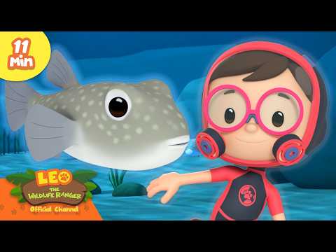 The White Spotted Pufferfish Makes Sand Art! | Leo the Wildlife Ranger | Learning Animal Cartoons - Kids TV Series, Kingdom Kids Zone - Leo the Wildlife Ranger - Official Channel