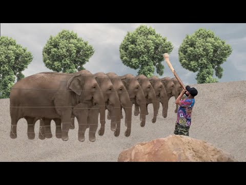 "dancing elephants"  Four Days - Pathfinder remix by GlixMix