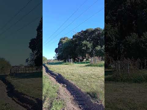 Paso de Las Piedras. Departamento Parana. Entre Rios. Parte 08