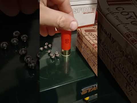 Hornady Heavy Magnum Coyote