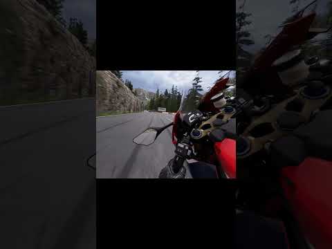 🔥 Full-Throttle Straight Line Assault — Honda CBR1000RR Fireblade SP 2019