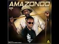 Amazondo - Sthwathwa & Airic ft Nolly M x Uncle Chilly (Official Audio ❗)