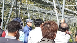 체리나무 모든것  
체리식재  예정자 기본교육 1