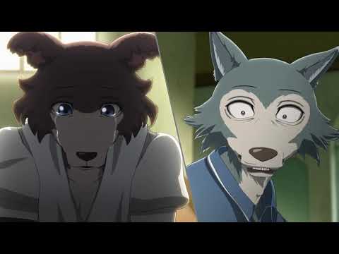 Beastars: Legosi Meets Juno
