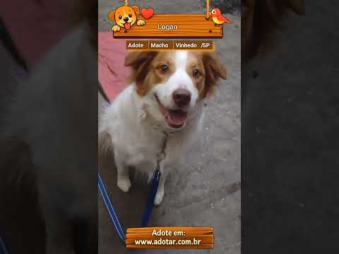 Vídeo de Logan 