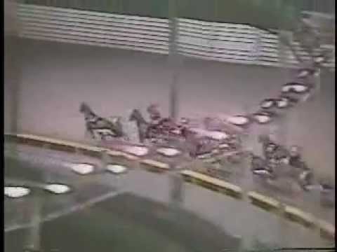 Challenge Cup Trot 1981 -Jorky