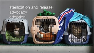 Please support Shelter Zutto-ARiGato
