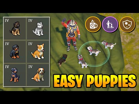 EASIEST Way to Get PUPPIES - Last Day on Earth: Survival