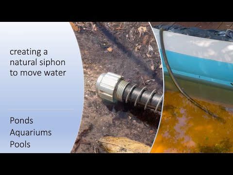 Garden hose siphon to move water (ponds, aquariums, pools)