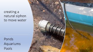 Garden hose siphon to move water (ponds, aquariums, pools)