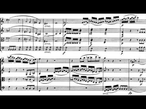 Beethoven: String Quartet no. 9 in C major, op. 59 no. 3