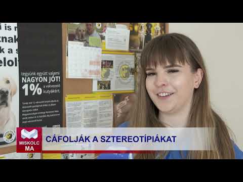 Videó előnézet