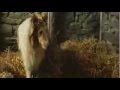 Alphaville - Lassie Come Home 